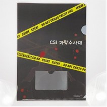 (SC) CSI과학수사대 L자파일 10개