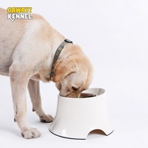 대형견밥그릇거치대 도도해 비비펫 고양이 강아지 반려동물 밥그릇 물그릇 리키매트 97, 파란색, S 23.5x22x14.2cm