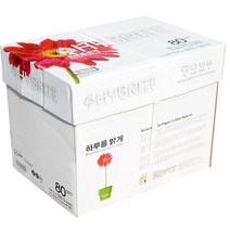 하이브라이트 A4 80g 1BOX _74563EA, 쿠팡 매일올래 본상품선택