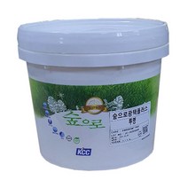 KCC페인트 숲으로광택플러스 투명 4L/내부용 코팅 광택수성마감재, 투명_반광4L