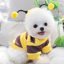 귀여운 캐릭터 반려견옷 꿀벌 원숭이 토끼 최신상예쁜옷 댕댕이옷 우리동네패션리더강아지, 재미있는 작은 꿀벌