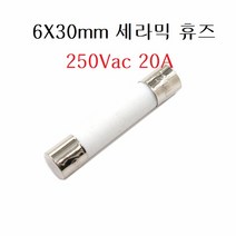 F20A 6Ø x 30mm 20A 속단 세라믹 fuse 250Vac, 기본