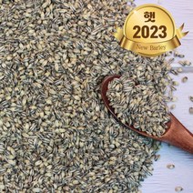 힘찬농부오달봉 국산 흑보리 검정보리쌀 흑찰보리, 1개, 500g