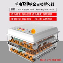 부화기 입문용 2021년 신상품 조류 자동 부화 병아리 계란부화기 36란 실험, 37. 계란부화기 120란
