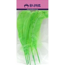 만들기 재료 깃털 1000w 연두 폼폼이 폼아트재료 브로치핀 교실환경 유니 유치원환경구성, 본상품선택, 본상품선택