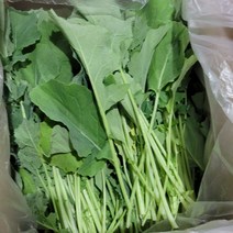 국내산 유채나물 4kg 백산상회, 1박스