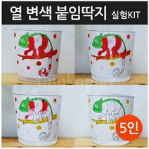 열변색 붙임딱지 실험세트 (5인용) 색깔이 변하는 과학 실험 시온잉크