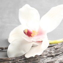 Francoise 에센셜 오일, 10ml