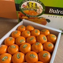 [루디번니] 불로초 감귤 1.5kg/3kg 제주감귤 귤 불로초감귤 제주불로초감귤 제주 불로초 감귤 12.5 브릭스 이상 맛있는 제주 불로초 감귤, 제주 불로초 감귤 /3kg/2S~M