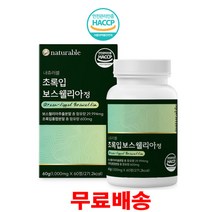 내츄러블 인도산 초록입보스웰리아 1000mgx60정
