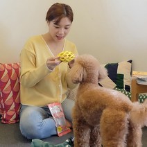 강아지간식장난감 JW 홀리풋볼 롤러 무독성 공놀이 노즈워크 8종, 1개, 풋볼 M