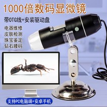 디노라이트 현미경 디지털 휴대폰 시계 진단기