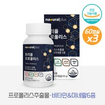 플라보노이드 트리플프로폴리스 500mg 60캡슐 x 3 식물혼합추출물분말HMS 아미노살 혼합제제, 본문참고, 본문참고