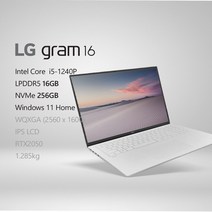 [오늘출발] LG전자 2022 그램16(12세대) 16ZD90Q-EX56K - [프리미엄 패키지+사은품 증정 이벤트], WIN11 Home, 16GB, 256GB