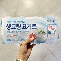 동원 생크림요거트 85gx8 x 2개, 아이스박스포장