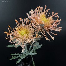 SunMade-고품질 술 핀쿠션 플라스틱 인공 꽃 짧은 지점 거실 장식 Fleur Artificielle 웨딩, 03 Yellow