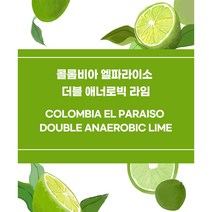 (커피생두) 268 콜롬비아 엘파라이소 더블 애너로빅 라임 500g, 1개
