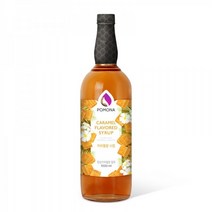 포모나 카라멜시럽 1000ml (포모나시럽 호환 시럽펌프 3.5ml 증정)