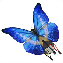 화려한 나비 진동로봇(5인용), 5인용