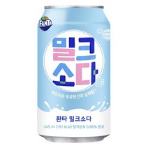 암바사 345mlx24캔 탄산음료/스파클음료/청량음료/업소용음료/캔음료, 암바사345ml24캔