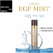 게리종 EGF미스트(안개분사 뿌리는보톡스), 1개, 100ml