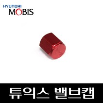 튜익스 밸브캡 D3529AP040