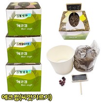 에코컵 씨앗키우기 새싹키우기 재배키트 새싹 강낭콩 봉선화 방울토마토 화분 관찰 탐구 재배기 과학교재, 에코컵/봉선화