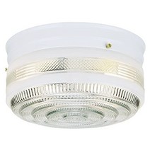 Westinghouse Lighting 6623800 투라이트 플러시 마운트 내부 천장 고정 장치 화이트 및 투명 유리로 화이트 마감, 27.3cm(10.75인치) 조명