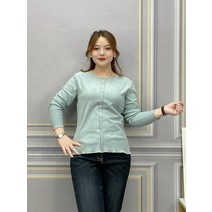 봄 가을 레이스 칼라 셔츠 여성 빅사이즈 벨벳 긴팔
