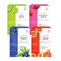 해피테라스 콤부차 탄산 빵빵 라임 스트로베리 블루베리 자몽 원액 키트 스코비 만들기 5gx15개입, 스토로베리