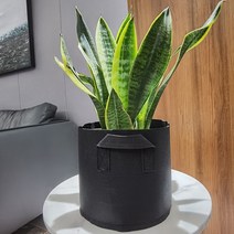 중형 부직포화분 텃밭 화분 그로우백 블랙