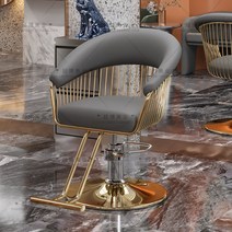 미용의자 전동의자 메이크업의자 헤어 미용실 발판식 등받이, 그레이, 1개