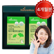 징코메모리 은행잎추출물 혈액 순환 에 좋은 두뇌 기억력 영양제 혈행 개선 도움 뇌 약4개월 (2박스)