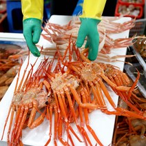 포항 산지직송 자숙 홍게 박달 라면용 실속 고급형 프리미엄 수율 다리 특대 쩌서파는 먹는법 90, <A-3>연지홍게 실속형 가족용 (자숙22마리 내외)” class=”wr-img”></a></div>
</div>
</div>
</div>
<div class=