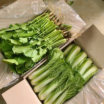 빨간장화농장 산지직송 맛있는 얼갈이, 반반세트(열무2kg 얼갈이2kg), 1개