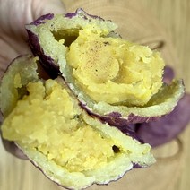 고구마빵 (10개입/5개입) 국내산 고구마 찹쌀 다이어트/간식/선물세트 마켓통 해남고구마빵, 고구마빵 5개입