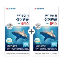 코오롱제약 콘드로이친 상어연골 플러스 정 900mg, 2개, 120정