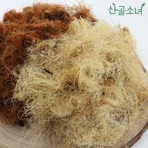 산골소녀 국내산 옥수수수염 원물, 100g