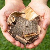 국산약초 산청목피 벌나무 껍질 200g, 1C96_국산 산청목피 200g