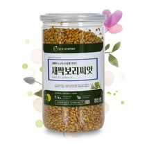 새싹보리씨앗 450g 밀폐용시밀통 정든팜 보리새싹, 단품, 단품