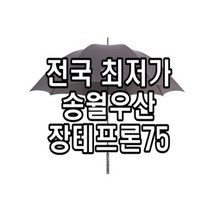 송월우산 장 테프론75 튼튼한 골프 초경량 홀인원 기념품 장우산