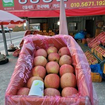 정광농원 밀양 얼음골사과 꿀 사과 선물용 산지직송 농가직판 사과즙, 5kg 14과