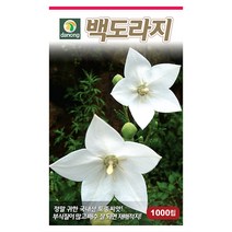갑조네 민속특수 씨앗 모음, 백도라지(씨앗), 1개