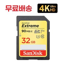 샌디스크 Leica CL메모리 카메라 4K 32기가 SD카드, 32GB