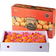 [제주직송] 퍼플팜 천혜향 고당도 프리미엄 명품, 선물용 3kg 8~15과