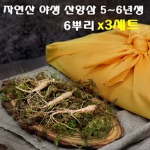 경성건강원 산양삼 장뇌삼 산삼주 자연산 산양산삼 뿌리 잎 씹어먹는 사포닌 면역력 기력 국내산 강원도 쥬스 팔순선물 효능 먹는법 건강선물 정품, 3세트, 6뿌리