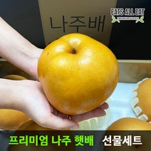 이츠올릿 나주 신고 황금 배 선물 특품 5kg 15kg 과일 먹골 추황 서양 사과 세트, 특품 나주 햇배 15kg (21-25과)