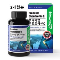 콘드로이친 (관절 콘드로이친 1200mg 저분자 상어연골 c6s 가루 알약 정 추천)