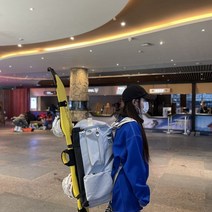 백팩 스키가방 아웃도어백 캐주얼백 스포츠가방 남가방 여가방 만두피 스노우보드 케이스, 보여진 바와 같이, 배낭