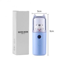 스티머 스팀기 얼굴스팀기 2In 1 스프레이 팬 페이스 미스트 분무기 가습기 물 보충기 US 충전, 06  LUE